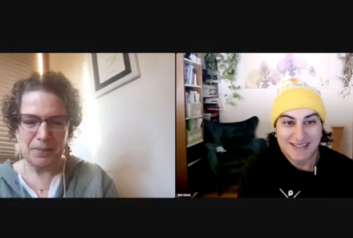 Screenshot of a Zoom meeting. On the left is Emily Bender, a white woman with short-ish curly brown hair. She wears glasses, earrings, and a gray hoodie. Behind her is a white wall and some closed beige window blinds. On the right panel is Alex Hanna, an Arab woman with medium-length black hair. She is wearing a black shirt and a yellow knit hat. Behind her is a room with bookshelves on one side and several plants.